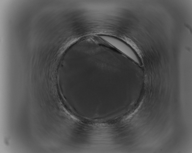 X0000091670577200709201221