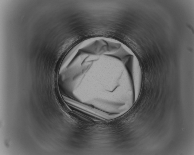 X0000091670578200709201221