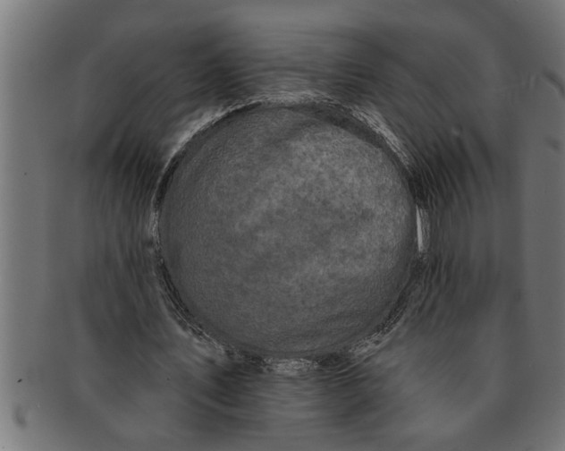 X0000091670579200709201221