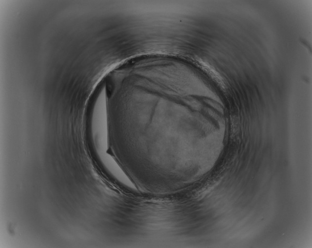 X0000091670580200709201221