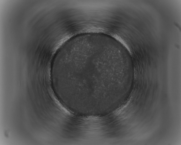 X0000091670581200709201221