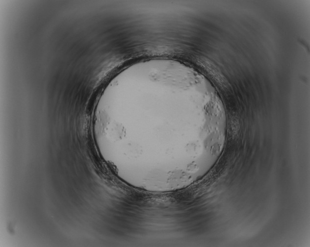 X0000091670583200709201221