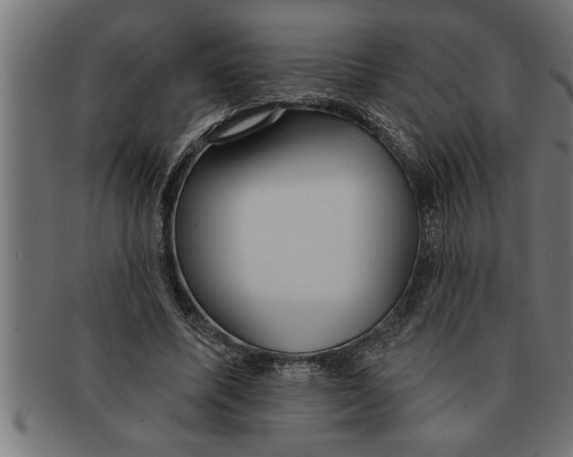 X0000091670587200709201221