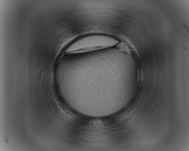 X0000091670588200709201221