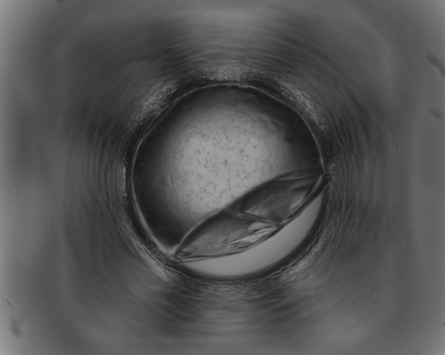 X0000091670589200709201221