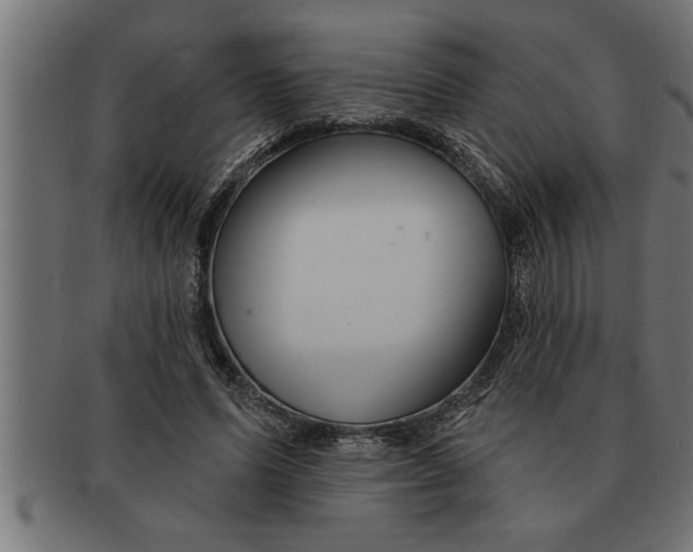 X0000091670591200709201221