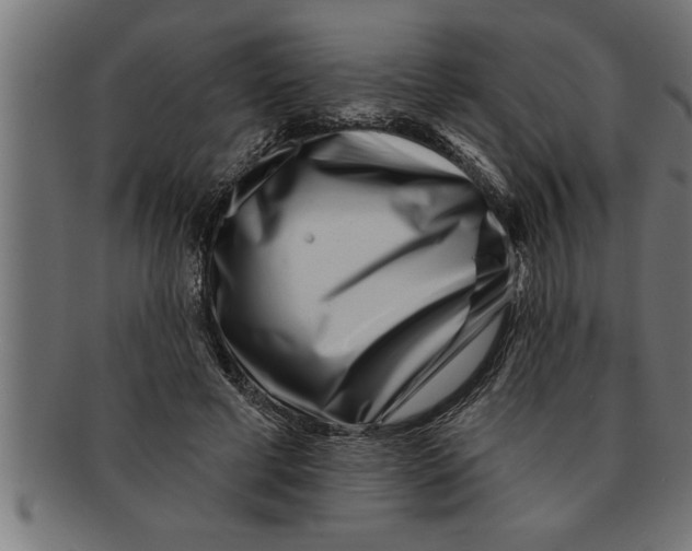 X0000091670593200709201221