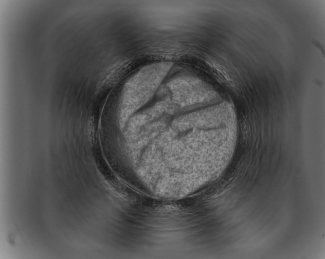 X0000091670594200709201221