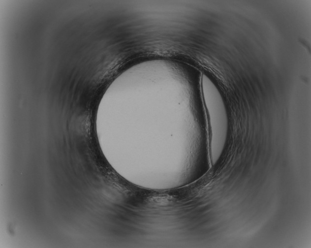 X0000091670595200709201221