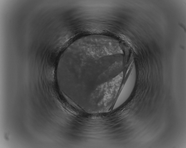 X0000091670596200709201221