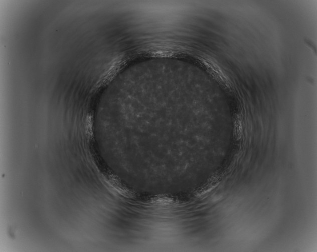 X0000091670598200709201221