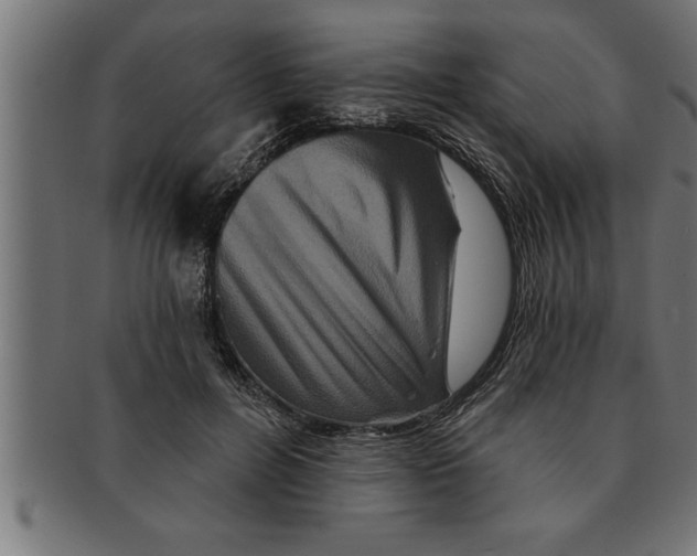 X0000091670600200709201221