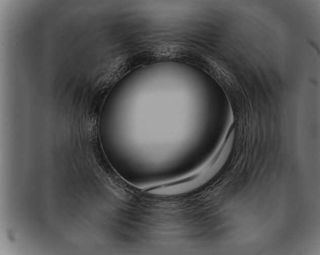 X0000091670601200709201221