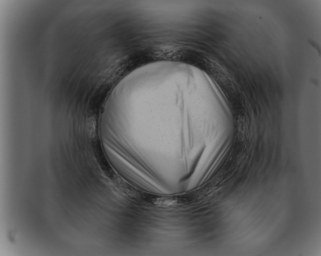 X0000091670602200709201221