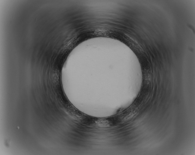 X0000091670603200709201221