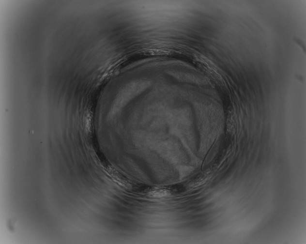 X0000091670604200709201221