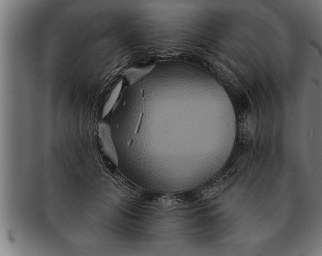 X0000091670608200709201221