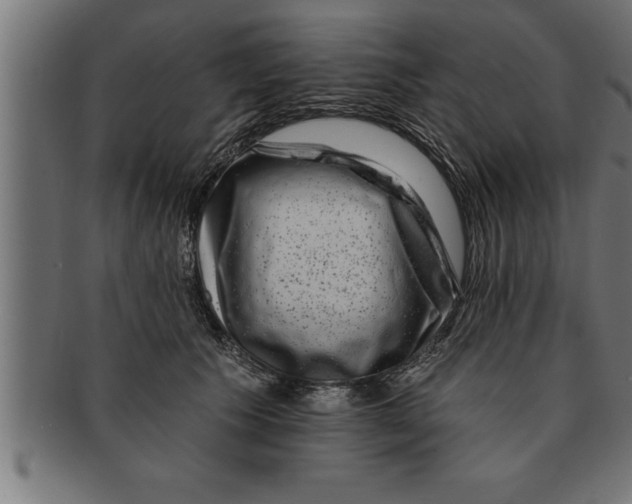 X0000091670609200709201221