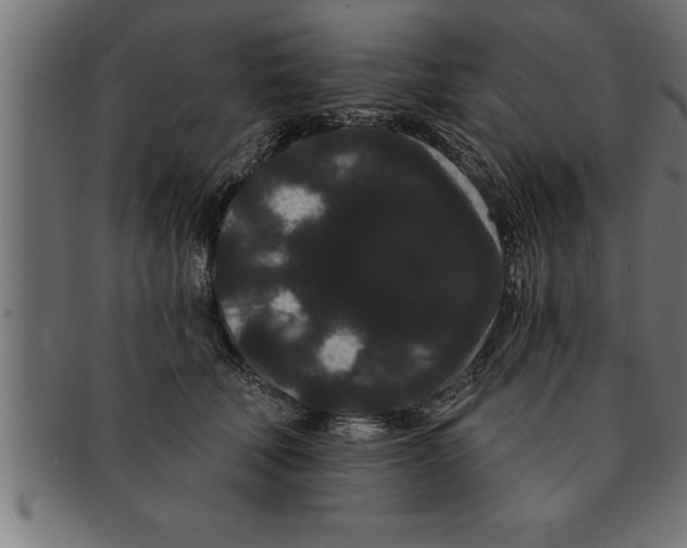 X0000091670610200709201221