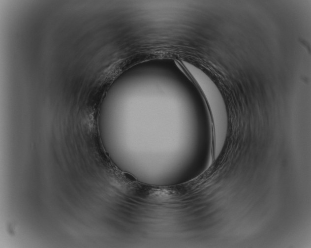 X0000091670611200709201221