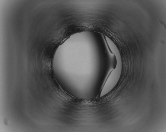 X0000091670613200709201221