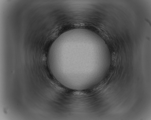 X0000091670614200709201221