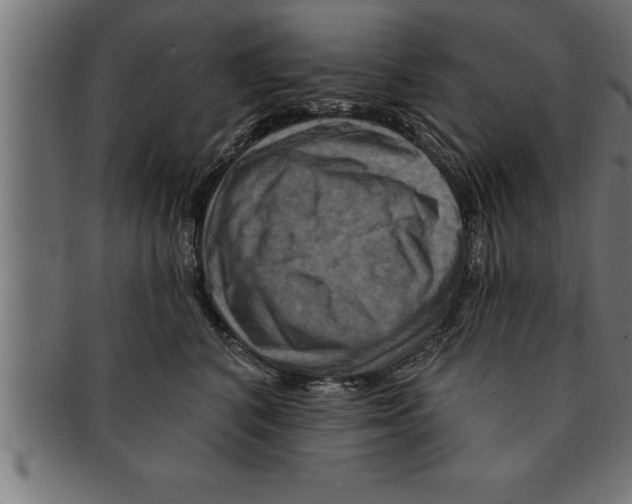 X0000091670616200709201221