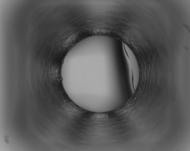 X0000091670619200709201221