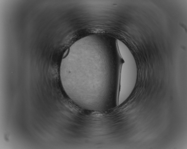 X0000091670620200709201221