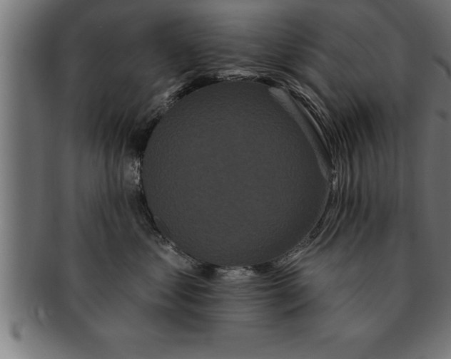 X0000091670621200709201221