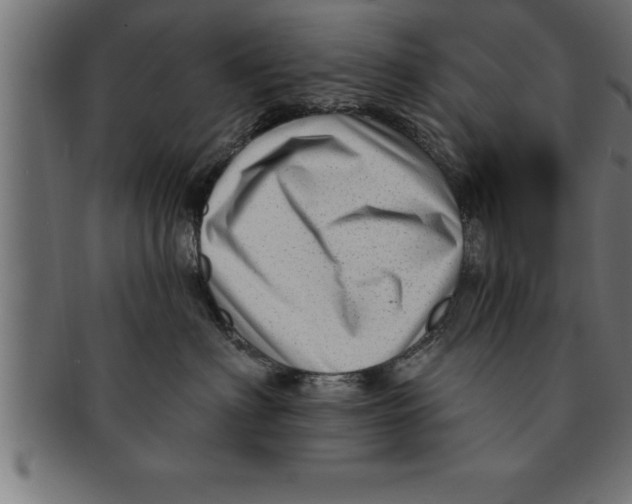 X0000091670622200709201221