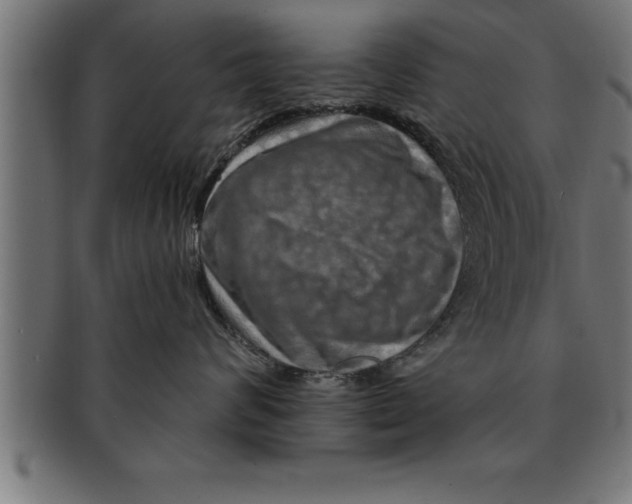 X0000091670624200709201221