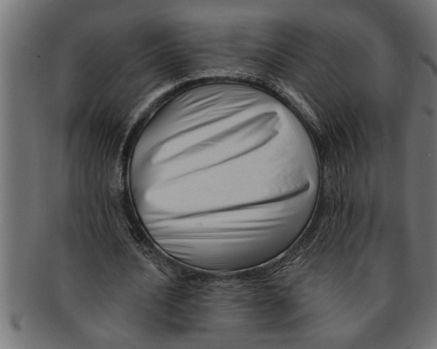 X0000091670628200709201220