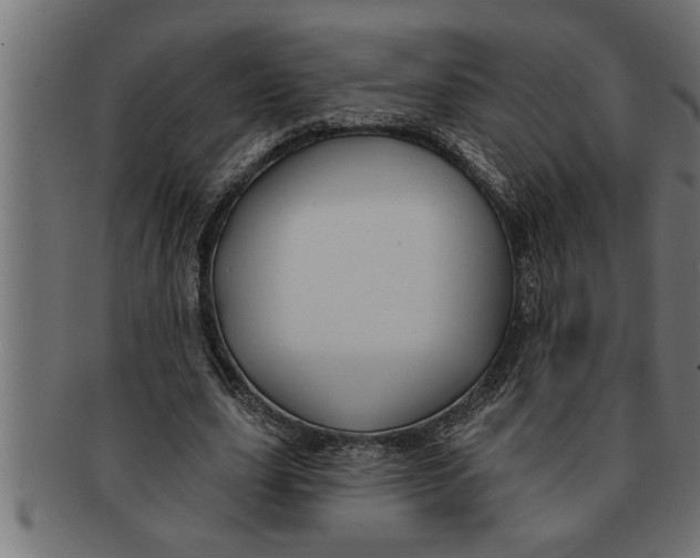 X0000091670631200709201220