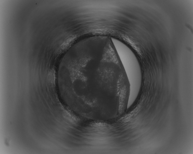 X0000091670637200709201220