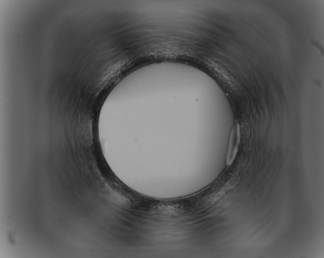 X0000091670638200709201220