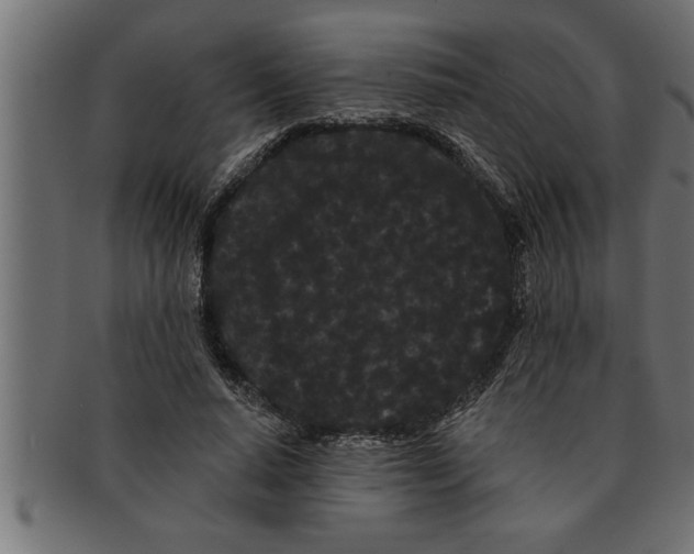 X0000091670640200709201220