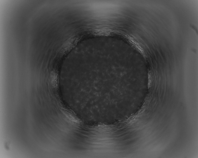 X0000091670641200709201220