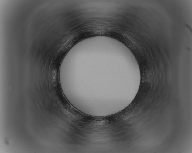 X0000091670646200709201220