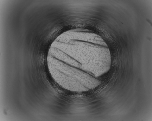 X0000091670647200709201220