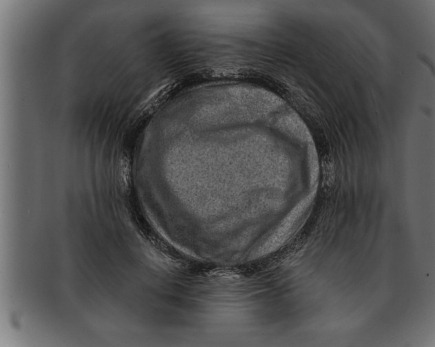 X0000091670648200709201220