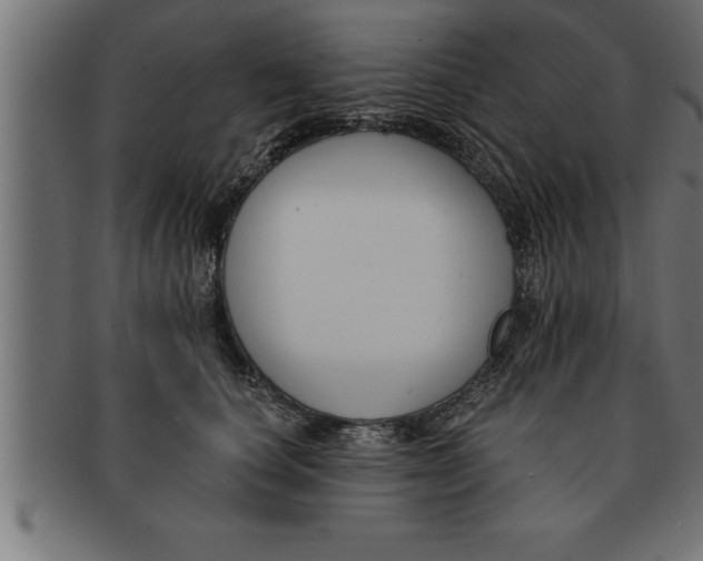 X0000091670660200709201220