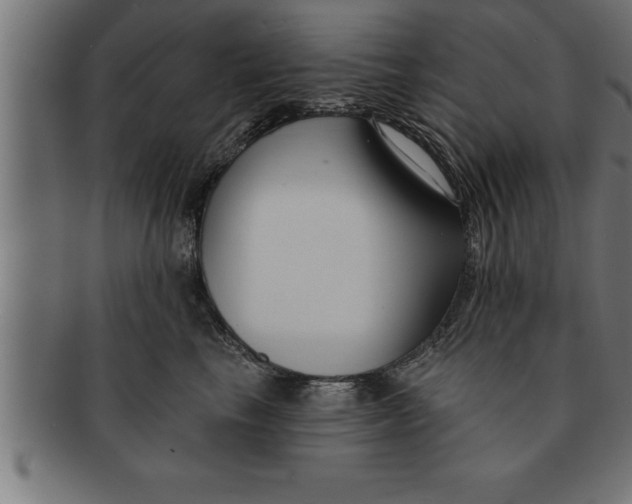 X0000091670665200709201220