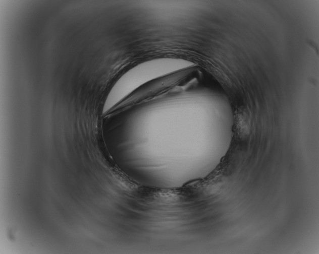 X0000091670668200709201221