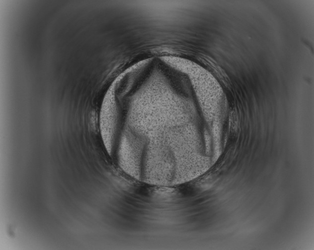 X0000091670669200709201221