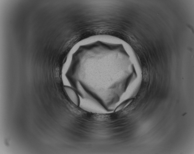 X0000091670670200709201221