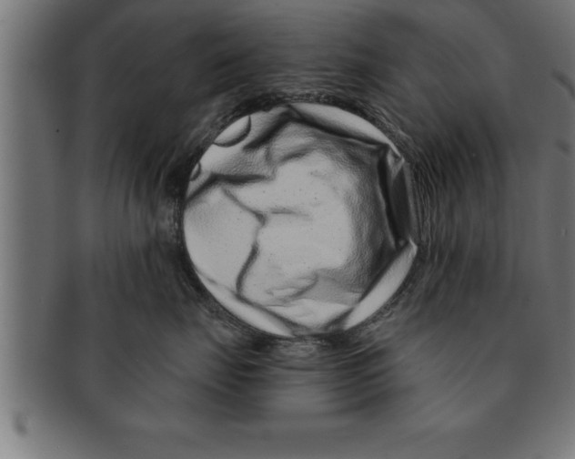 X0000091670671200709201221