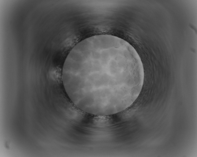 X0000091670672200709201221