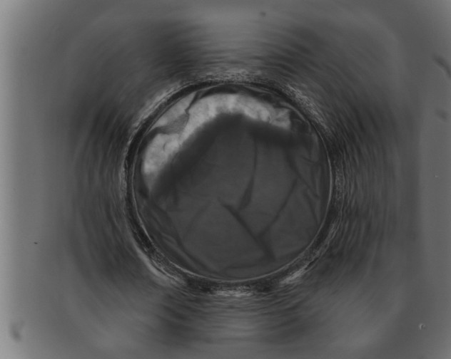 X0000091670674200709201220