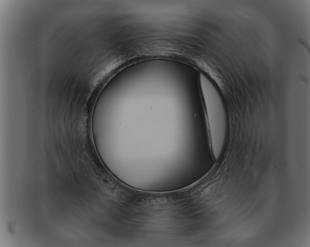 X0000091670675200709201220